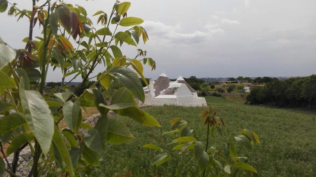 Borgo Trulli 1789 Panzió Ostuni Kültér fotó