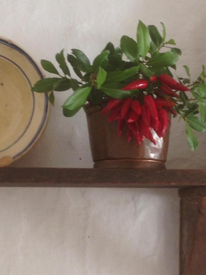 Borgo Trulli 1789 Panzió Ostuni Kültér fotó
